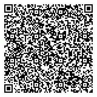 vCard 79138299887