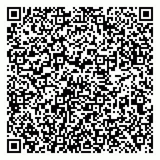vCard 79138299888