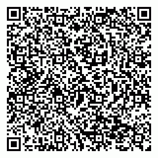vCard 79138299889