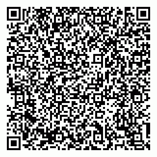 vCard 79138303200