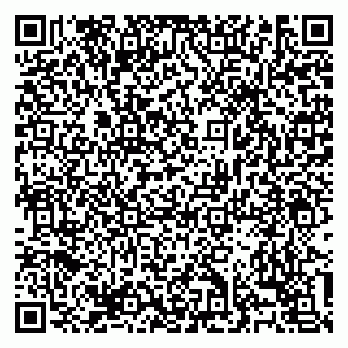 vCard 79138303203
