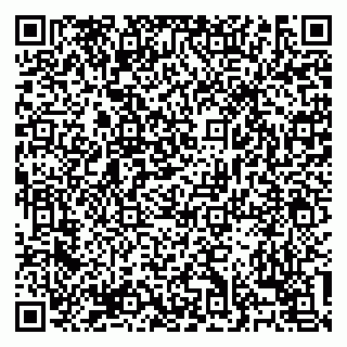 vCard 79138303204