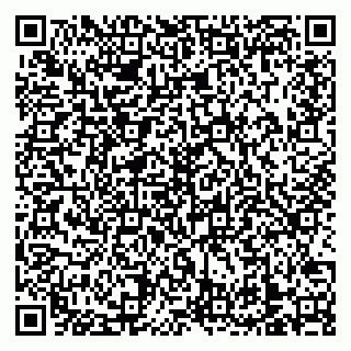 vCard 79138303206