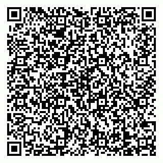 vCard 79138303207