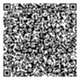 vCard 79138303208