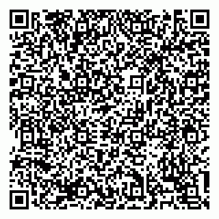 vCard 79138303209