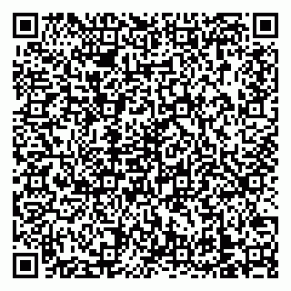 vCard 79138303210