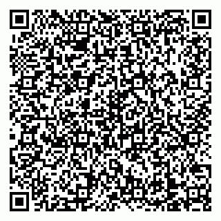 vCard 79138303211