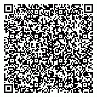 vCard 79138303213