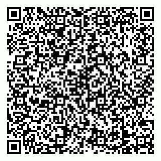 vCard 79138303215