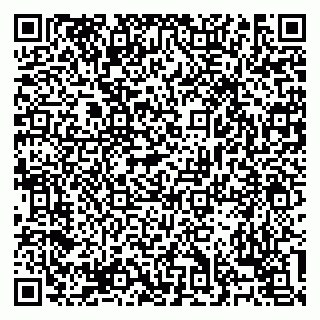 vCard 79138303216