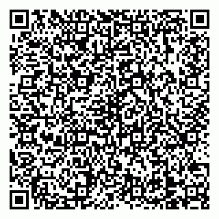 vCard 79138303218