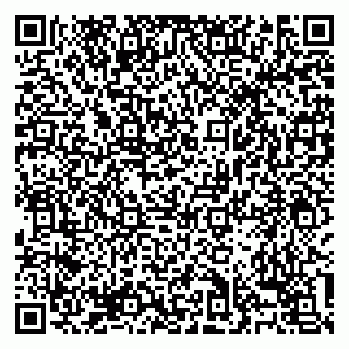 vCard 79138303219