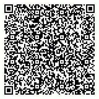 vCard 79138303220