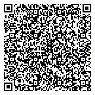 vCard 79138303221