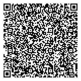 vCard 79138303224