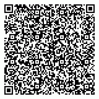 vCard 79138303225