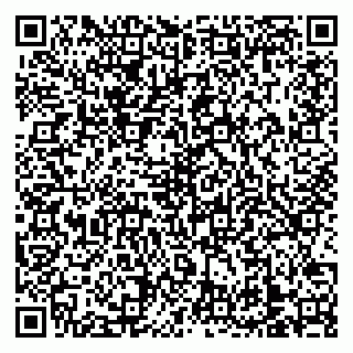 vCard 79138303226