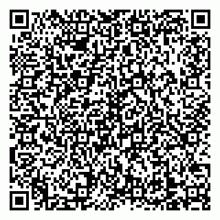 vCard 79138303227