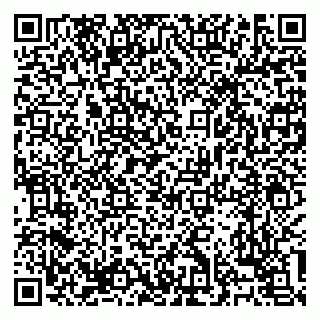 vCard 79138303228
