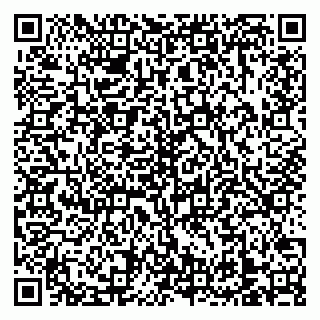vCard 79138303229