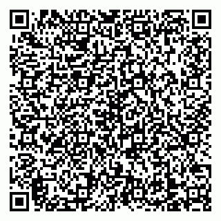 vCard 79138303232