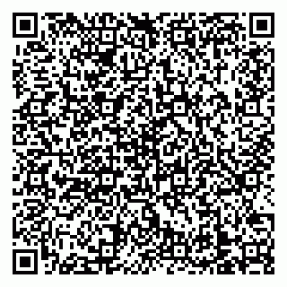 vCard 79138303234