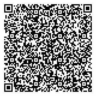 vCard 79138303236