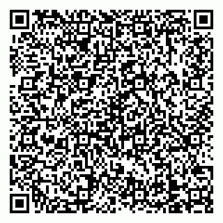 vCard 79138303239