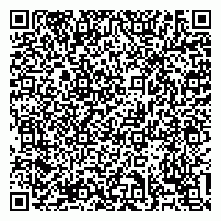 vCard 79138303240