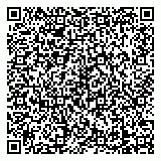 vCard 79138303241