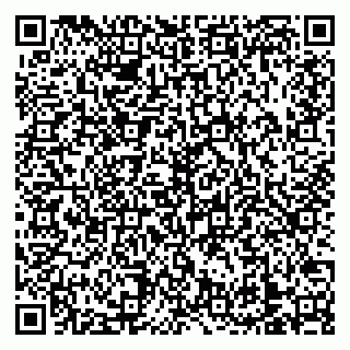 vCard 79138303243