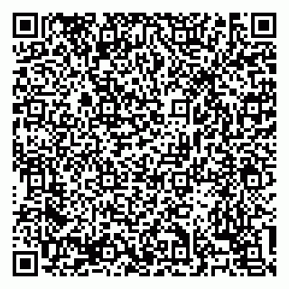 vCard 79138303245