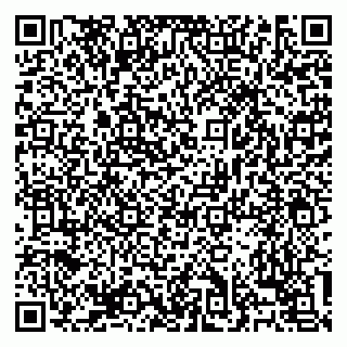 vCard 79138303246