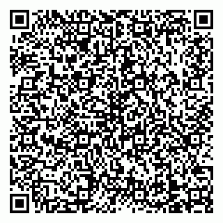 vCard 79138303247