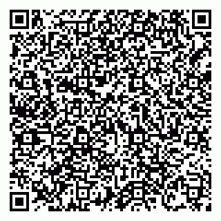 vCard 79138303248