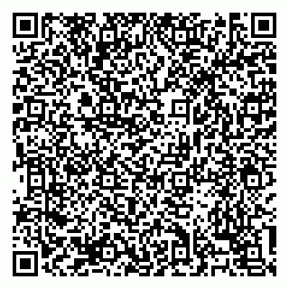 vCard 79138303249