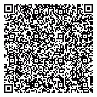 vCard 79138303250