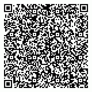 vCard 79138303251