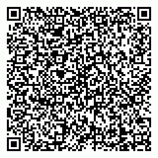vCard 79138303252