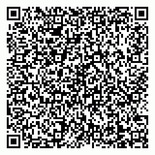 vCard 79138303255