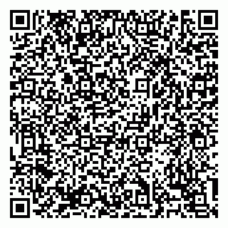 vCard 79138303256