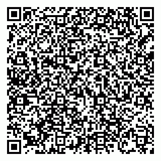 vCard 79138303260