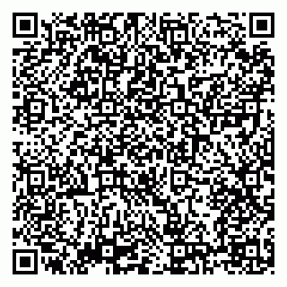 vCard 79138303263