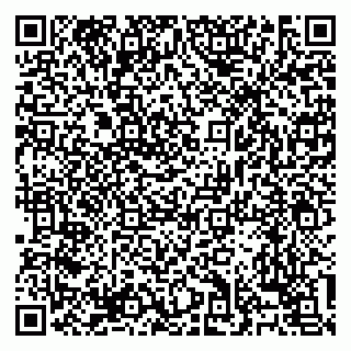vCard 79138303265