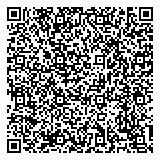 vCard 79138303266