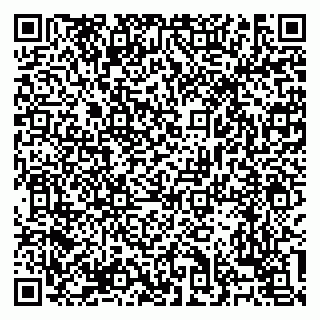 vCard 79138303269