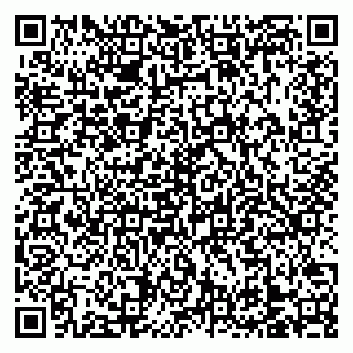 vCard 79138303271