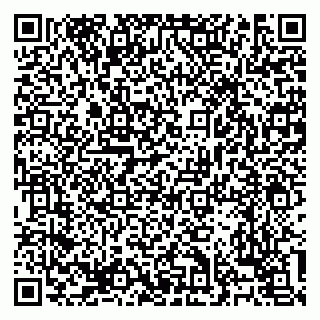 vCard 79138303272