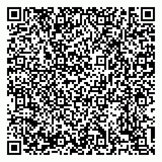 vCard 79138303273